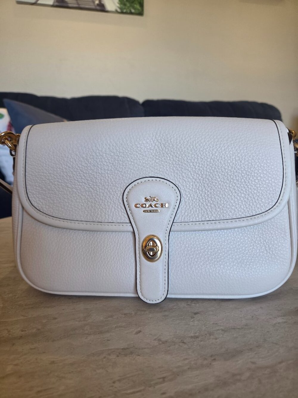 coach handbag